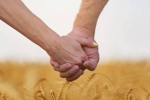Man Och Kvinna Håller Händer Bakgrundsfältet Moget Vete Närbild — Stockfoto