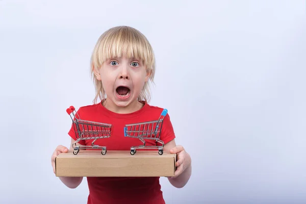 Verrast Kind Met Doos Twee Kleine Winkelwagentje Witte Achtergrond Online — Stockfoto