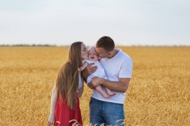 Genç mutlu aile buğday tarlasında. Anne ve baba bebeği öpüyor..