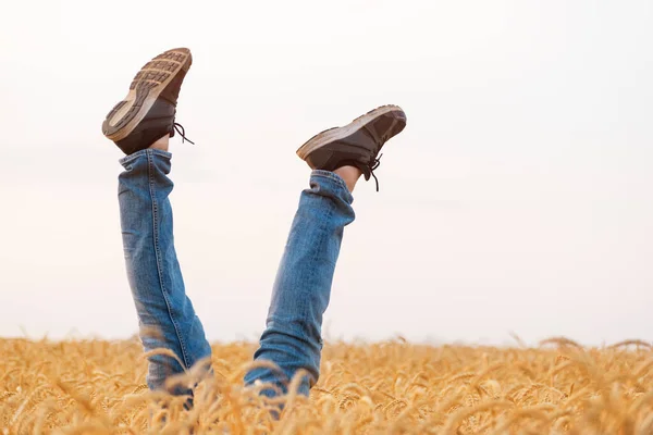 Ben Jeans Och Sneakers Himlen Bakgrund Och Fält Vete — Stockfoto