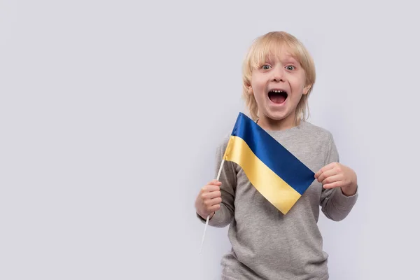 Divertido Niño Riendo Con Bandera Ucrania Sus Manos Educación Las — Foto de Stock