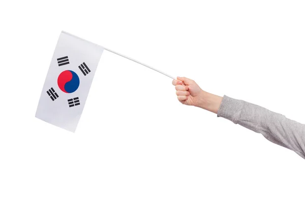 Childrens Hand Holds Flag South Korea Isolated White Background — Stock Photo, Image