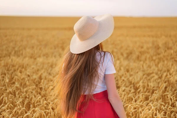 Krásná Mladá Dívka Klobouku Procházející Pšeničným Polem Zadní Pohled — Stock fotografie