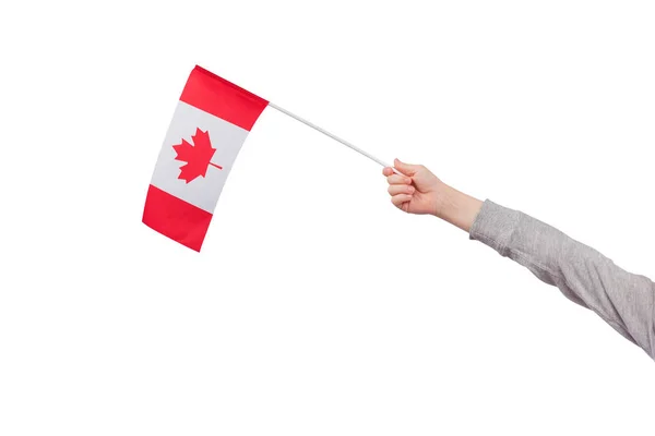 Kanada Nın Çocukları Beyaz Arka Planda Izole Edilmiş Bayrağını Tutuyor — Stok fotoğraf