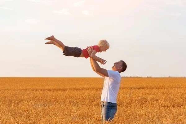Father throws son. Dad and child having fun outside. Field of ripe wheat