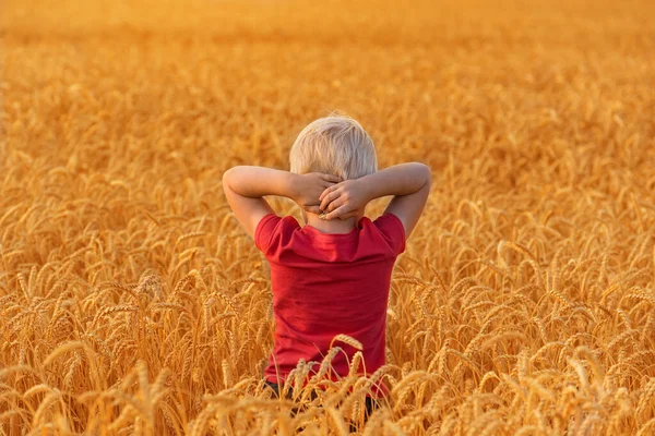 Blond Pojke Står Mitt Fältet Moget Vete Med Händerna Bakom — Stockfoto