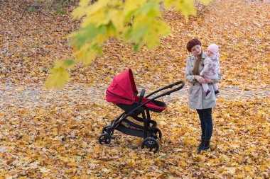 Güz Parkı 'nda bebek arabasıyla yürüyen genç bir anne. Anne kucağında bebek