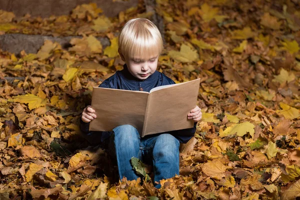 Blonder Junge Liest Buch Herbstwald Und Sitzt Auf Abgefallenen Blättern — Stockfoto