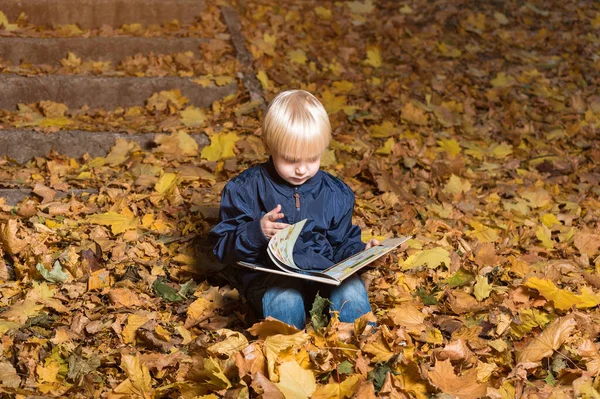 Gyerek Lapozgatja Könyveket Fiú Őszi Erdőben Olvas — Stock Fotó