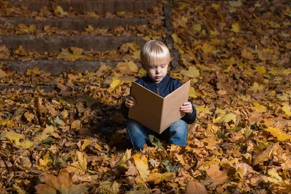 Kleiner Junge Liest Buch Wald Auf Herbstblättern Sitzend Faszinierendes Kinderbuch — Stockfoto