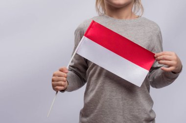 Çocuğun elinde Polonya bayrağı var. Kapatın. Çocuklar için Lehçe öğreniyorum. Polonya 'da Eğitim.