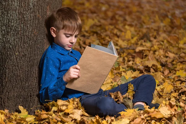 Chico Sienta Bosque Sobre Hojas Caídas Leyendo Libro Emocionante Espacio — Foto de Stock