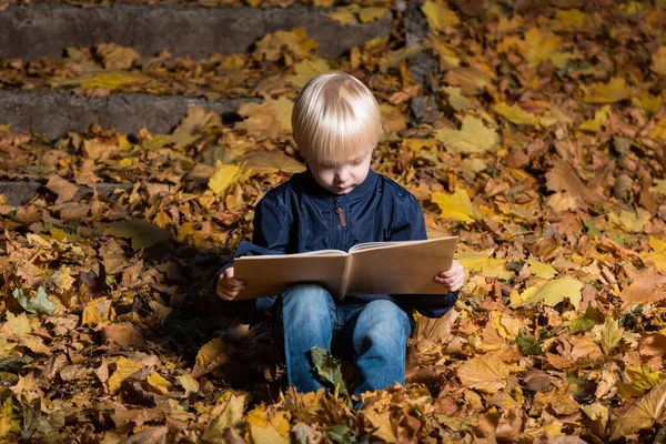 Blonder Kleiner Junge Sitzt Herbstlaub Und Liest Buch Kinderbuch Über — Stockfoto