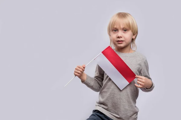 Băiat Blond Serios Care Deține Steagul Poloniei Educație Polonia — Fotografie, imagine de stoc