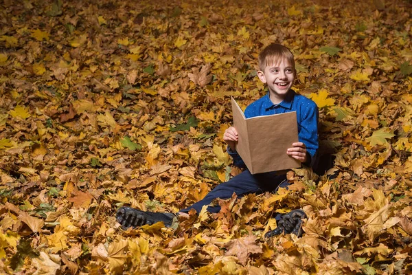 Jongen Het Herfstbos Met Boek Kind Zittend Gevallen Bladeren Met — Stockfoto