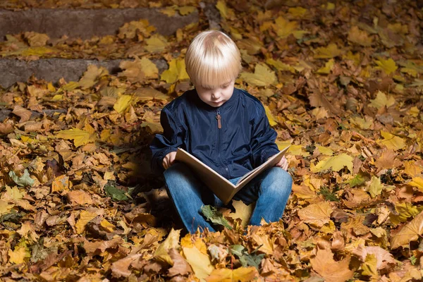 Menino Sentado Folhas Caídas Com Livro Nas Mãos Criança Outono — Fotografia de Stock