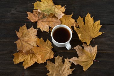 Bir fincan çay, sonbahar yapraklarıyla çevrili ahşap masada. Sonbahar çay partisi..