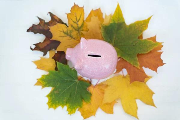 Piggy Bank standing on yellow autumn leaves on white background. Top view. Discounts black Friday.