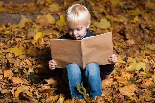 Справедливий Милий Хлопчик Сидить Осінньому Парку Читає Книгу Дитина Лісі — стокове фото