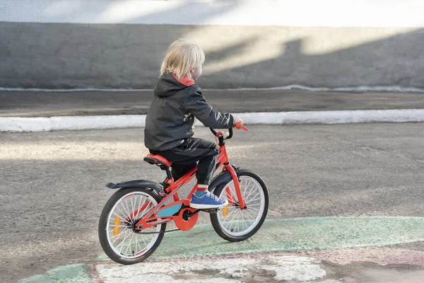 Vue Arrière Garçon Vélo Enfant Apprend Faire Vélo — Photo