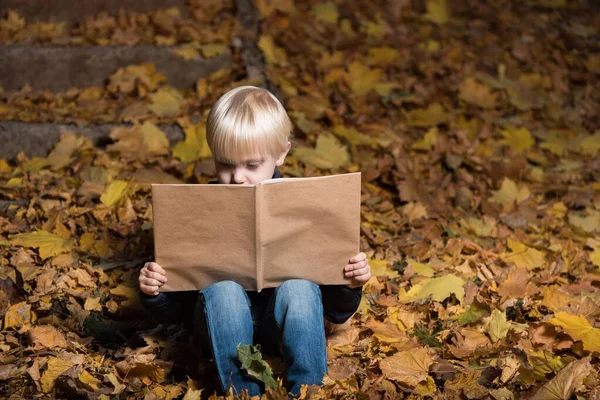 Blonder Junge Sitzt Auf Herbstblättern Wald Und Hält Ein Großes — Stockfoto
