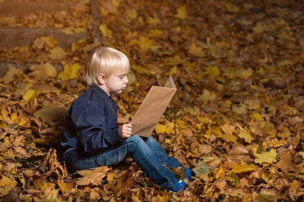 Junge Sitzt Mit Buch Auf Abgefallenem Laub Herbstwald Kind Liest — Stockfoto