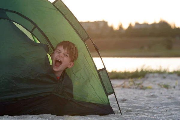 Niño Tiendas Campaña Bosteza Temprano Mañana Camping Camping — Foto de Stock