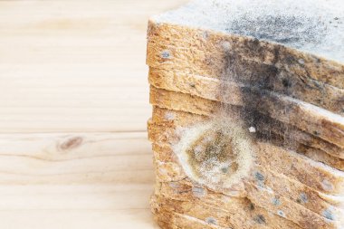 Eski mantarlar ekmek ahşap arka plan üzerinde çürük