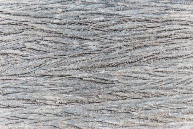 Ahşap tahıl doku arka plan kullanmak için