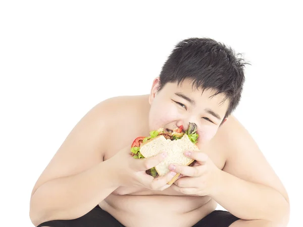 Ein Dicker Junge Isst Glücklich Sandwich — Stockfoto