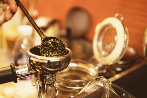 巴里斯塔采取干绿茶叶放入茶片制作机 — 图库照片