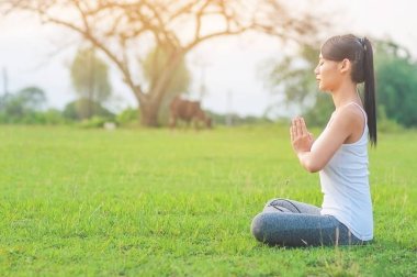 Yeşil alanı açık alan gösteren sakin huzurlu meditasyon unutmayın - insanlar yoga meditasyon ve egzersiz kavramı için pratik Yoga egzersiz yaparak genç bayan 