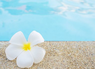 Plumeria havuzda, arka plan