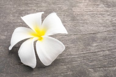 Ahşap arka plan üzerinde beyaz plumeria