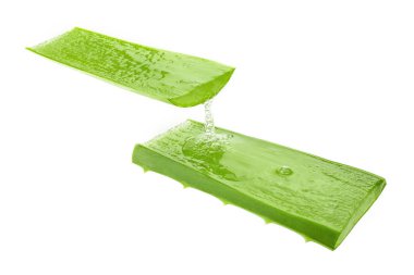 Beyaz arka plan üzerinde izole taze aloe vera