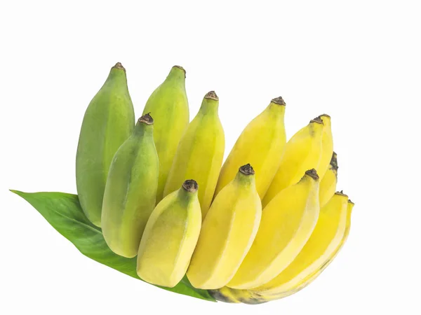 Banane Fraîche Cavendish Main Isolée Sur Feuille Blanche Verte — Photo