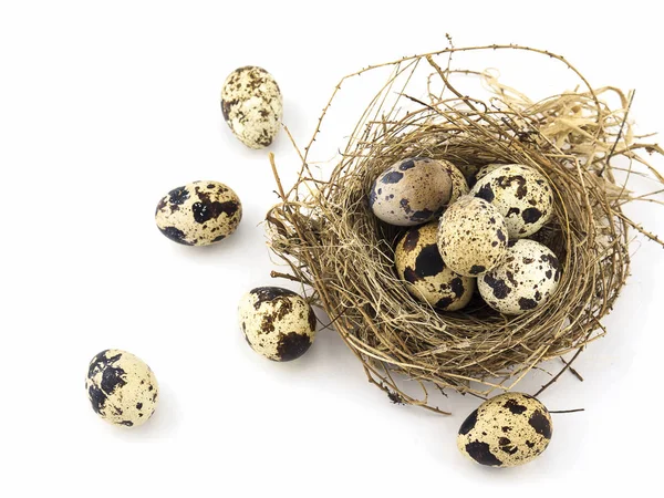 Small Eggs Bird Nest White Background — Stock Photo, Image