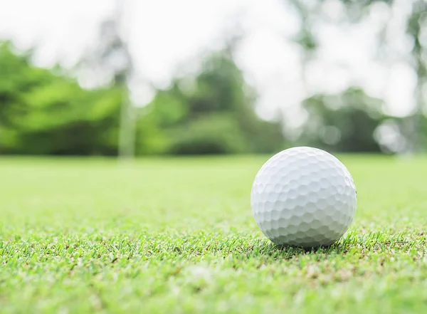 高尔夫球在绿色与模糊别针旗杆和绿色树背景 — 图库照片