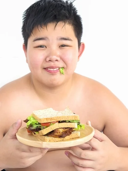 boy is happily eating sandwich