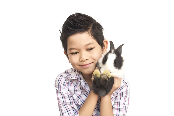 Asiático Criança Brincando Com Adorável Bebê Coelho Isolado Sobre Branco — Fotografia de Stock