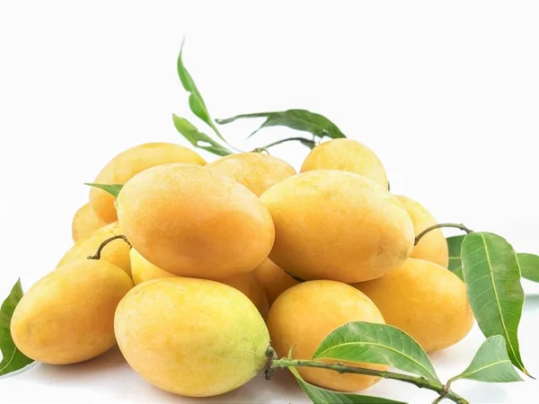 Prang Mayongchid Mango Śliwki Marian Mango Lub Bouea Macrophylla — Zdjęcie stockowe