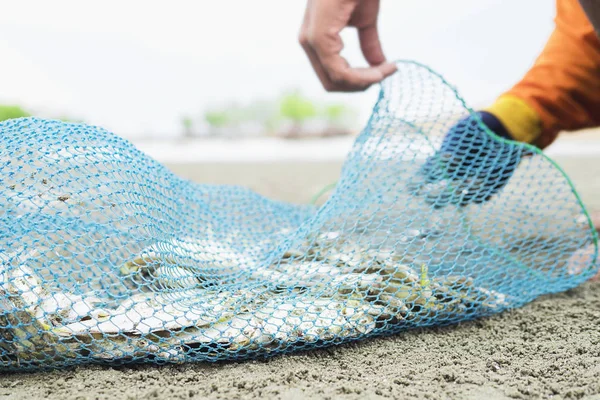 Rybak Wprowadzanie Ryb Plastikowej Torbie Netto Plaży — Zdjęcie stockowe