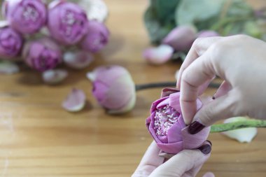 Kadın pembe lotus mutlu katlama