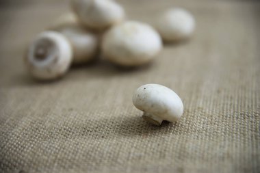 Mutfakta taze champignon mantar sebze - taze mantar sebze pişirme kavramı