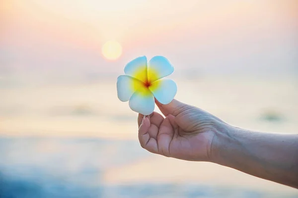 Primer Plano Señora Mantener Flor Plomería Playa Arena — Foto de Stock