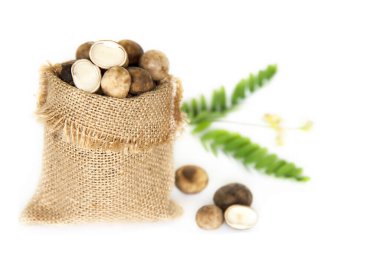 Tütsülenmiş mantarlar - Kuzey Tayland bölgesi için en pahalı yerel baharat mantarları