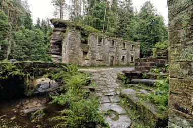 Fern ortasında kırık Mill House