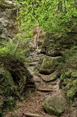 Kayaların arasında adımlarla yol
