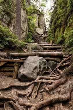 Ahşap merdiven ve korkuluk dik parça