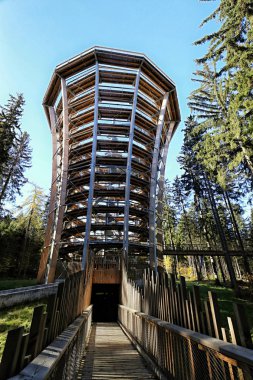 Orman eğlenceli park outlook Kulesi